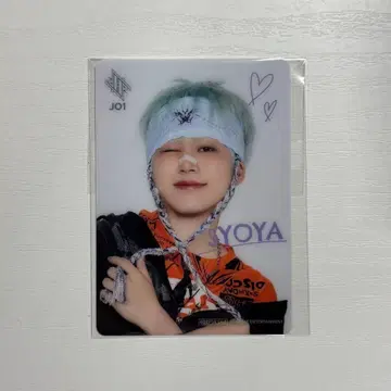 키마타 쇼야 HMV