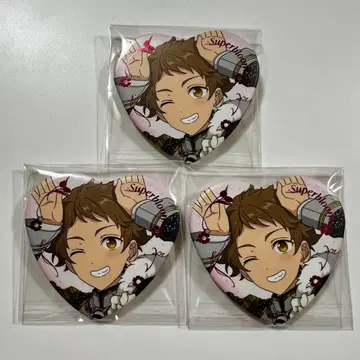 앙스타 스타포니 캔뱃지 히카루