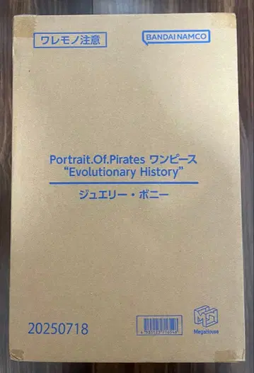 P.O.P 원피스 'Evolutionary History' 보니