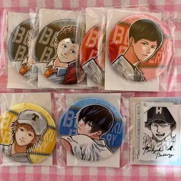 망각 배터리 컬렉션 캔뱃지 사진 스타일 클리어 키링 세이호