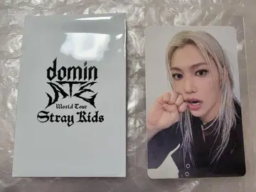 StrayKids dominATE 구매 혜택 필릭스
