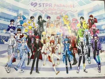 STPRPARADICE 런천 매트