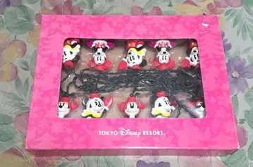 디즈니랜드 미키 미니 크리스마스 라이트