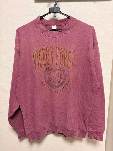 PIGEON FORGE 프린트 맨투맨 구제 의류