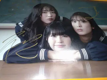 마루타케에비스 타워 레코드 사인 포함 패널 보드