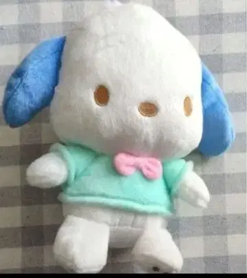 [ 익명 배송 ] 산리오 포차코 봉제 인형