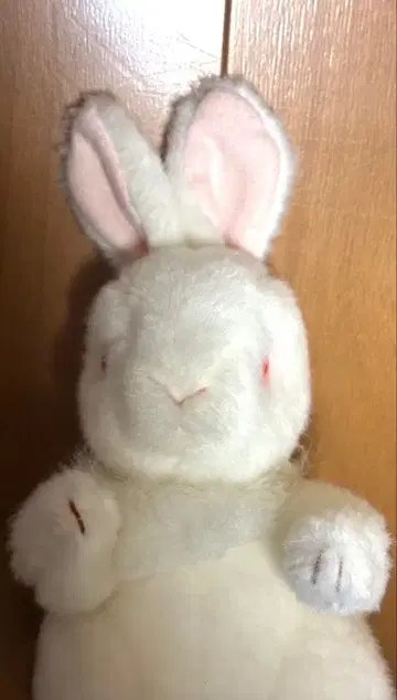 알비노 토끼 봉제 인형 레트로