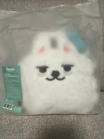 TXT 뿔바투 용몬 크로스백