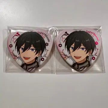 앙스타 스타포니 캔뱃지 호쿠토