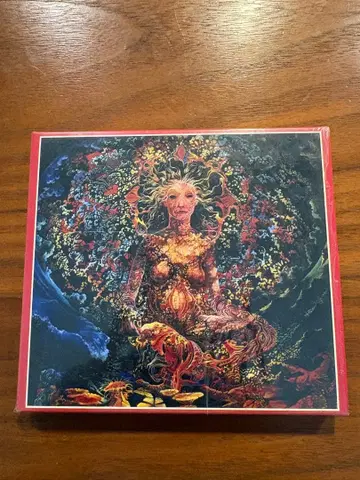 Led Zeppelin Atlantic Ocean Divinity 2CD