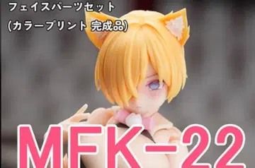 muscuto 푸니모후 페이스, 헤어 파츠 세트