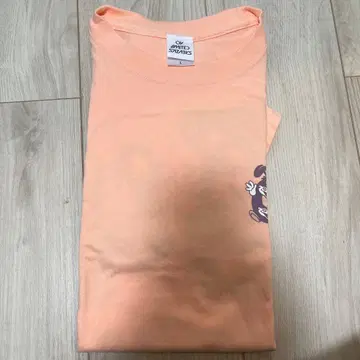 04 Limited Sazabys T셔츠 L사이즈