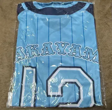 [ 익명 배송 ] 사립 에비스 중학교 나카야마 리코 유니폼