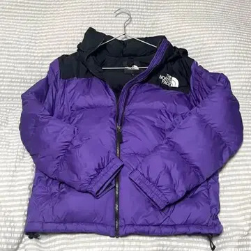 ND91841 눕시 L 피크 퍼플