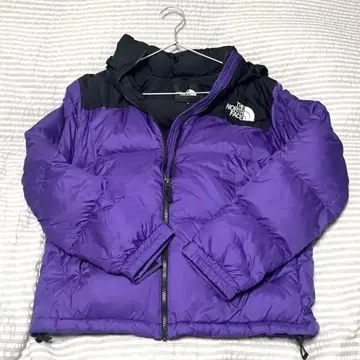 ND91841 눕시 L 피크 퍼플