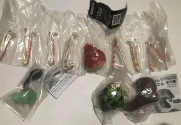 새상품 가챠 물속 생물계 게&개구리 3종 세트 생물대도감 반다이