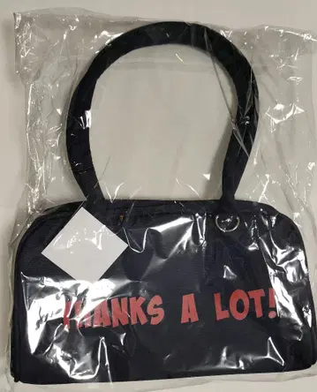 미즈사와 린타로 팬미팅 보스턴 백