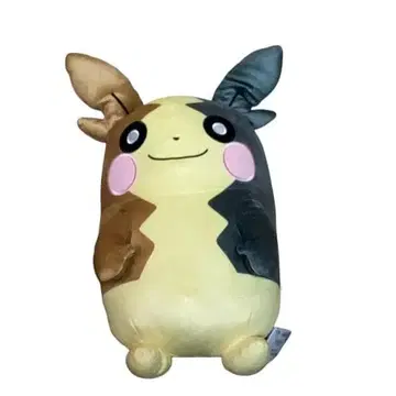 [택 포함] 포켓몬 메챠모후굿토 봉제 인형 모르페코 만푸쿠모요