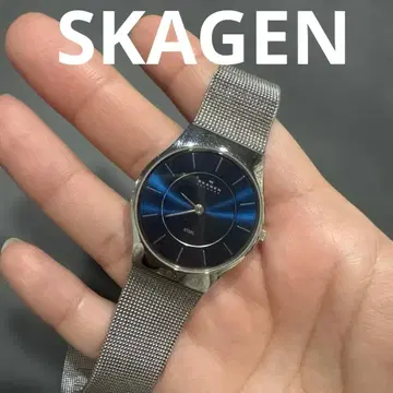 SKAGEN 손목시계 아날로그
