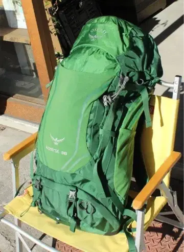 Osprey Kestrel 38 그린