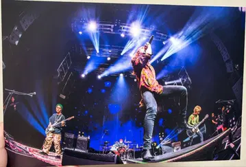 슈퍼 비버 타워 레코드 당선 패널