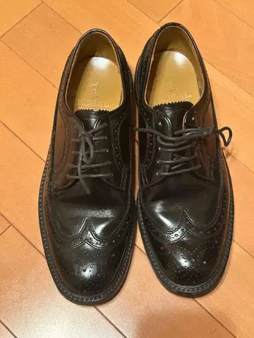 REGAL 리갈 2589 윙팁