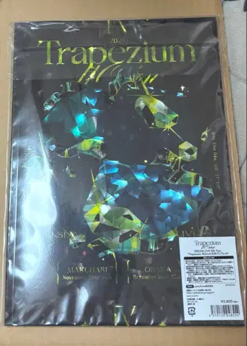 앙스타 DREAM LIVE 9th 공식 팜플렛