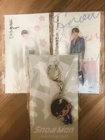 와타나베 쇼타 스노우 칠 키링 아크릴 스탠드 세트