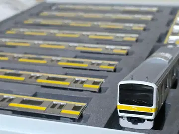 92828 209계 500번대 (소부선) 10량