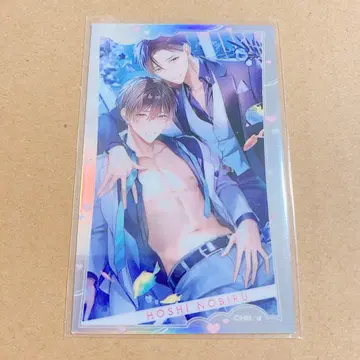 drap 25주년 기념전 오로라 카드 호시노비루 드라