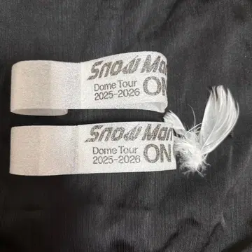 Snow Man Dome Tour 2025-2026 온고지신