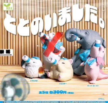 정돈되었습니다. 4종류