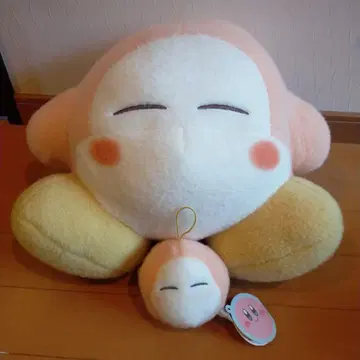 와돌디 봉제 인형 세트 대 소