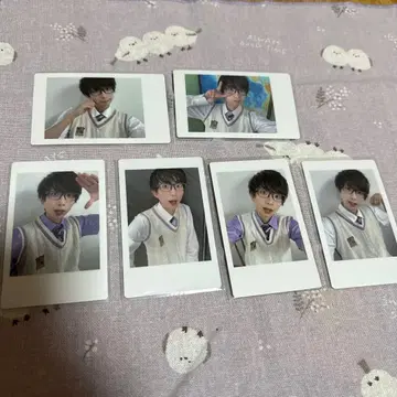 팬더드래곤 나루키 하피카