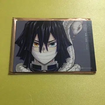 귀멸의 칼날 기둥전 캔버스 카드 이구로 오바나이 업