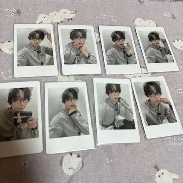 팬더드래곤 나루키 하피카