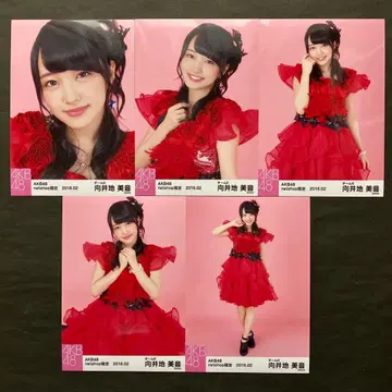 무카이치 미온 AKB48 브로마이드 5장 컴프 9