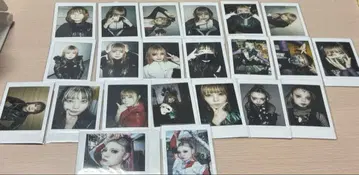 ASP 모그 라이언 폴라로이드