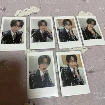 팬더드래곤 나루키 하피카