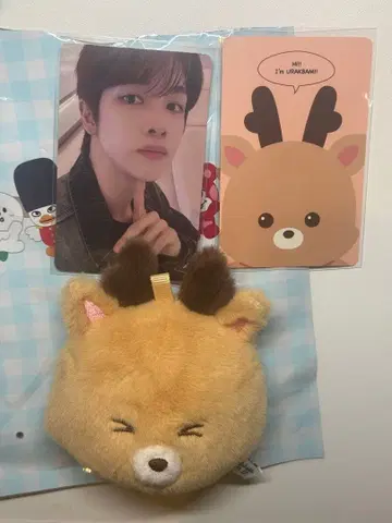 RIIZE 성찬 중국 상하이 POPUP 우라밤 봉제 인형