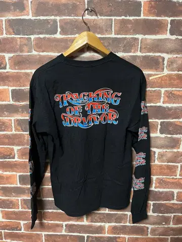 TRACKING OF THE SURVIVOR