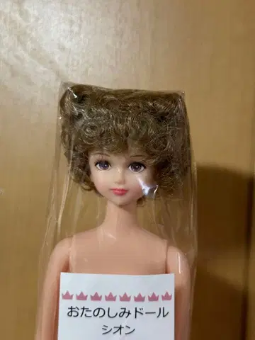 리카짱 캐슬 오타노시미 인형 리틀팩토리 시온