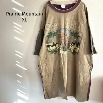 USA 구제 의류 프레리 마운틴 여성용 롱 원피스 남성용 T셔츠