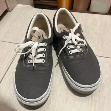 VANS 스니커즈 V95CLA 25.5cm