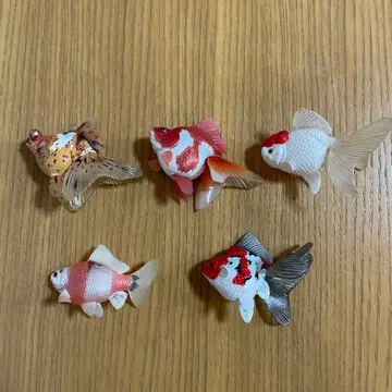 금붕어 피규어 5종 세트