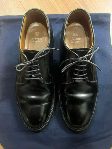 Alden 9901 블랙 드레스 플레인토 신발