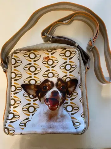 안야 힌드마치 사선 가케 백