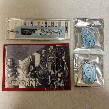 아마노 아키라 전시회 메탈릭 참 리본 참 포스카 스쿠알로 4종 세트