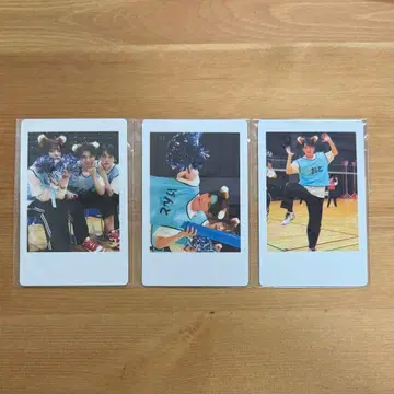 나나크로니클 하피카