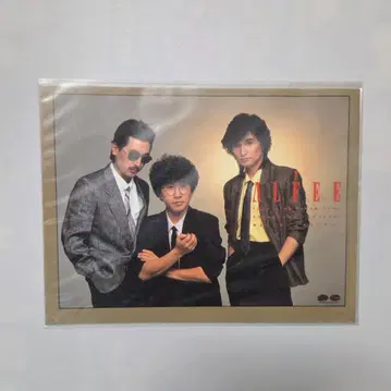 THE ALFEE 포토 카드 알피 멜리안